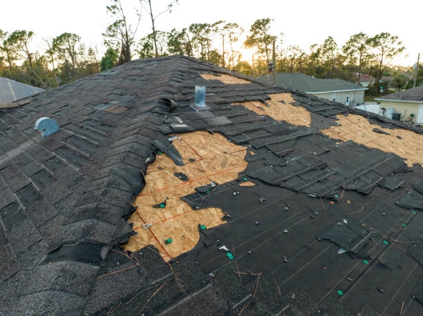 Roof Insulation Installation in Cortland West, NY